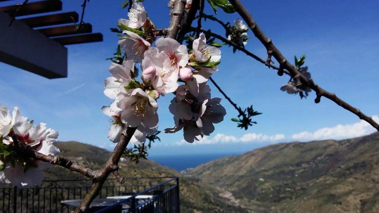 Contrada Carmine Bed & Breakfast Reitano  Reitano (Messina)